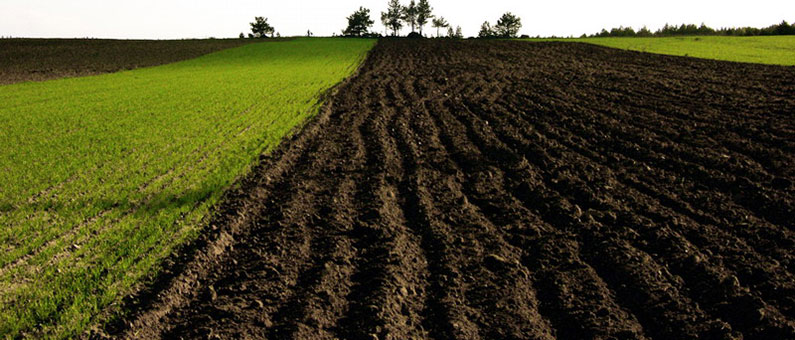 Soil | A Limited Resource?