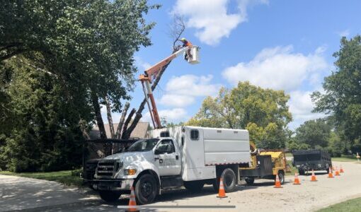 a landscape solutions truck removing a dead tree