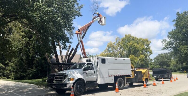 a landscape solutions truck removing a dead tree